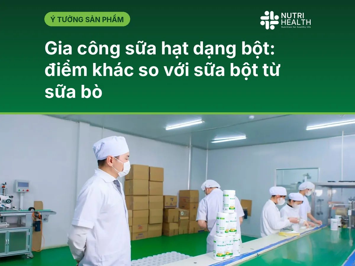 Gia công sữa hạt dạng bột: điểm khác so với sữa bột từ sữa bò